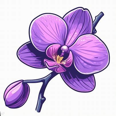 single purple orchid cartoon clipart images - Pencipta Imej daripada Microsoft Designer Purple Clipart, Orchids Painting, Flower Drawings, Cartoon Clipart, Plant Wallpaper, Purple Orchids, School Kids, Cartoon Clip Art, Clipart Images