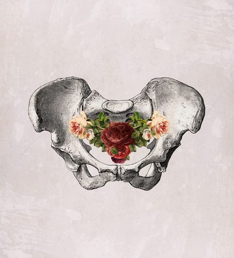 Bones With Flowers, Uterus Art, Human Anatomy Art, Medical Art, Gcse Art, Anatomy Art, Art Vintage, Girls Bedroom, Painting & Drawing