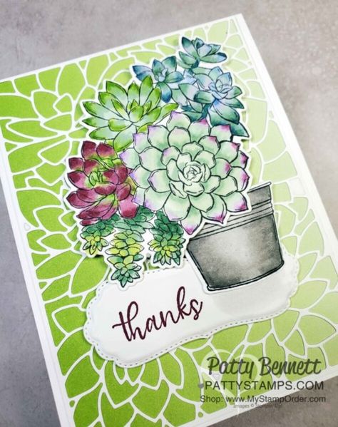 Succulent Card, Succulent Cards, Cactus Cards, Patty Bennett, Succulent Images, Succulent Painting, Flowering Cactus, Stampin Blends, Potted Succulents