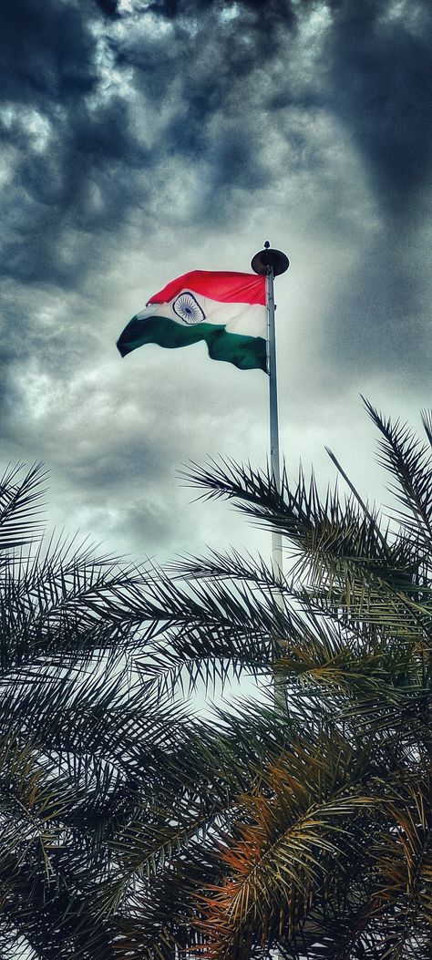 Indian Flag Dp For Instagram, India Flag Aesthetic, Indian Flag Aesthetic, Toreh Tangan, Independence Day Pictures, Flag Images, Indian Flag Images, Jungkook Photoshoot, Indian Flag Wallpaper