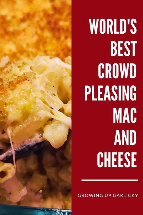 Mac And Cheese For 100 People, Mac And Cheese For 50 People, Breakfast Casserole With Biscuits, Best Mac N Cheese Recipe, Baked Gnocchi, Best Mac And Cheese, Best Mac, Gourmet Cheese, Baked Mac N Cheese