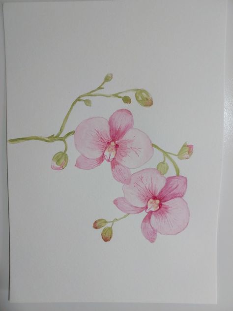 pintura em aquarela de uma orquídea rosa Watercolour Orchid, Orchid Watercolor, Orchids Painting, Painting Simple, Painting Inspo, Art Drawings Sketches Creative, Flower Art Painting, Water Cooler, Art Drawings Sketches