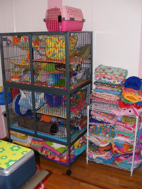 Summer Rat Setup Rat Setup, Cute Rat Cage, Rat Cage Setup, Critter Nation Cage Ideas Pet Rats, Ferret Room, Pet Rat Cages Aesthetic, Pink Rat Cage, Rat Care, Critter Nation Rat Cage