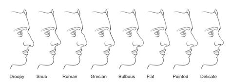 nose types Nose Shapes Chart, Male Nose, Nose Piercing Care, Greek Nose, Human Nose, Body Description, Different Nose Shapes, Nose Types, Type Chart