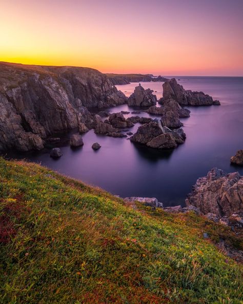 Something to warm you up on this stormy day. Summer scene at Cape Bonavista Newfoundland. Are you missing summer? . . . . . #newfoundland #newfoundlandandlabrador #explorenl #explorecanada #explorenewfoundland #canada #landscapephotos #landscapephotography #coast #coastal #coastline #newfoundlandphotos #newfoundlandphotagrapher #newfoundlandphotography Newfoundland Canada Pictures, Newfoundland Aesthetic, Bonavista Newfoundland, Fogo Island Inn, Fogo Island, Canada Pictures, Newfoundland Canada, Summer Scenes, Explore Canada