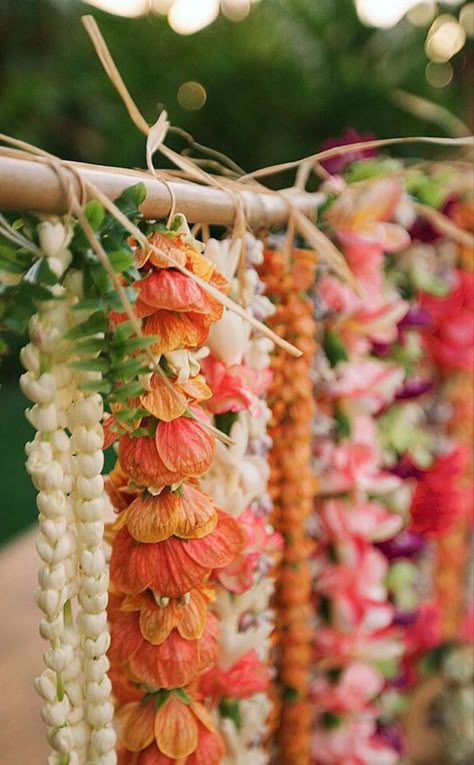 Four Seasons Maui, Lei Day, Lei Flower, Lei Making, Dream Flower, Beachy Room, Hawaiian Lei, May Day, Flower Names