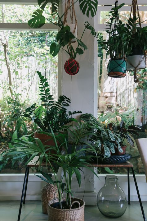 Plants 101, Room Plants, Plant Inspiration, Eclectic Homes, Girly Apartment Decor, Vintage Home Accessories, Jungle Fever, Miss Moss, Living Room Plants