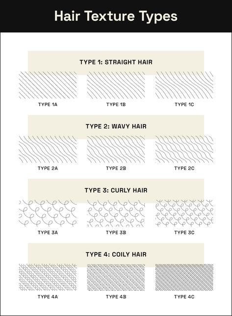 Your Essential Guide to Hair Textures - StyleSeat Pro Beauty Blog Type Of Hair Texture Chart, Type 1b Hair, Type 1c Hair, Hair Texture Chart, 1c Hair, Type 2c Hair, Type 1 Hair, Type 2b Hair, Type 3a Hair