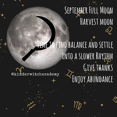 🌕 This month’s Full moon is a super moon in Pisces so get ready! It’ll also a partial lunar eclipse depending on where you’re located so keep and eye out! Moon In Pisces, Lunar Eclipse, Super Moon, Finding Balance, Harvest Moon, Give Thanks, Full Moon, Get Ready, Moon