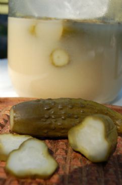 Best Mustard Pickle Recipe, Sour Mustard Pickles Recipe, Mustard Pickles Recipe, Pickled Pickles, Dill Pickle Mustard, Mustard Pickle Recipe, Pickled Items, Baked Pickles, Pickled Recipes