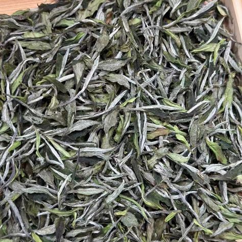 #whitetea Procured from the core producing area of white tea: Fuding City, Fujian Province, it is graded as White Peony. It is typical to have one bud and two leaves. The production of white peony tea has only undergone simple withering and drying processes, retaining its pure and fresh taste. We provide two grades of white tea. (1) The original leaves of the superior grade are picked immediately after picking the white hair silver needle, which is closer to the white hair silver needle.... Hair Silver, White Peony, White Peonies, White Tea, Silver Hair, White Hair, Peonies, The White, The Original