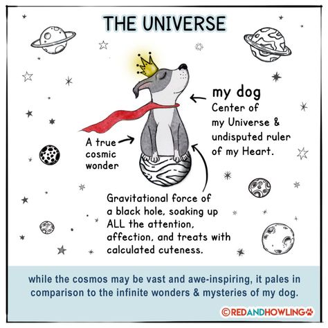 Center of the Universe – Red and Howling Red And Howling, Center Of The Universe, Latest Cartoons, Black Hole, Dog Stuff, Sign I, Animals Friends, Dog Art, I Love Dogs