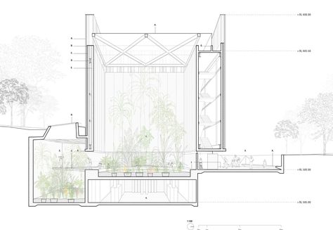 Greenhouse Section Architecture, Botanical Garden Architecture Plan, Botanic Garden Architecture, Botanical Architecture, Garden Section, Architecture Garden, Architecture Mapping, Section Drawing, Architecture Graphics