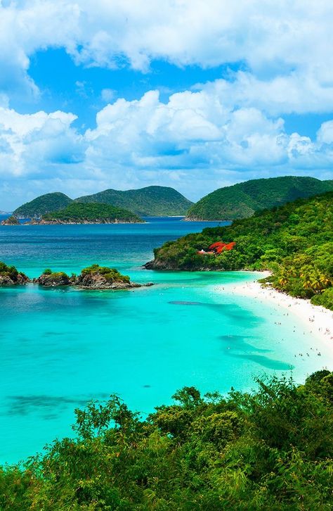 Virgin Islands National Park, St Thomas Usvi, Fauna Marina, United States Virgin Islands, Caribbean Vacations, South Beach Miami, Exotic Places, Us Virgin Islands, Saint John