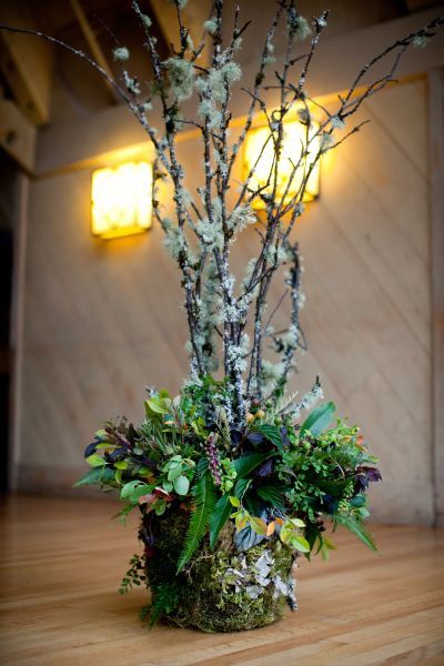 Francoise Weeks, Woodland Centerpiece, Farm Facts, Woodland Gardens, Woodland Plants, Woodland Flowers, Spring Centerpiece, Fleur Design, Woodland Garden