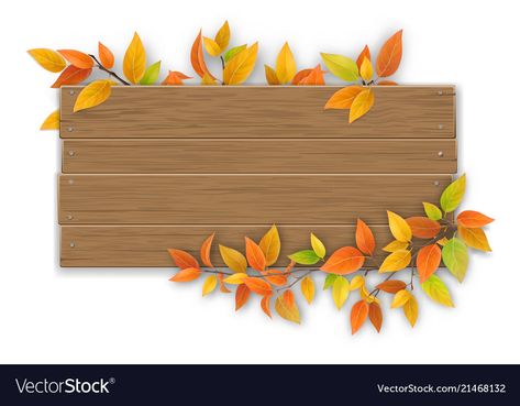 Autumn Tree Branch, Diy Mirror Wall Decor, Beautiful Flower Quotes, Branch Vector, Kindergarten Design, Autumn Tree, Background Design Vector, Floral Border Design, Wallpaper Nature Flowers