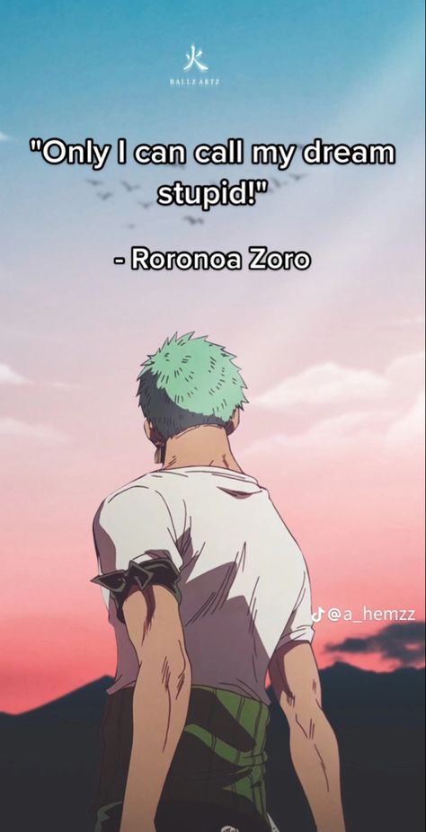 Zoro Workout, Zoro Quotes, One Piece Quotes, Fitness Wallpaper, Anime Love Quotes, Grey Matter, Lions Photos, Anime Backgrounds, Anime Quotes Inspirational