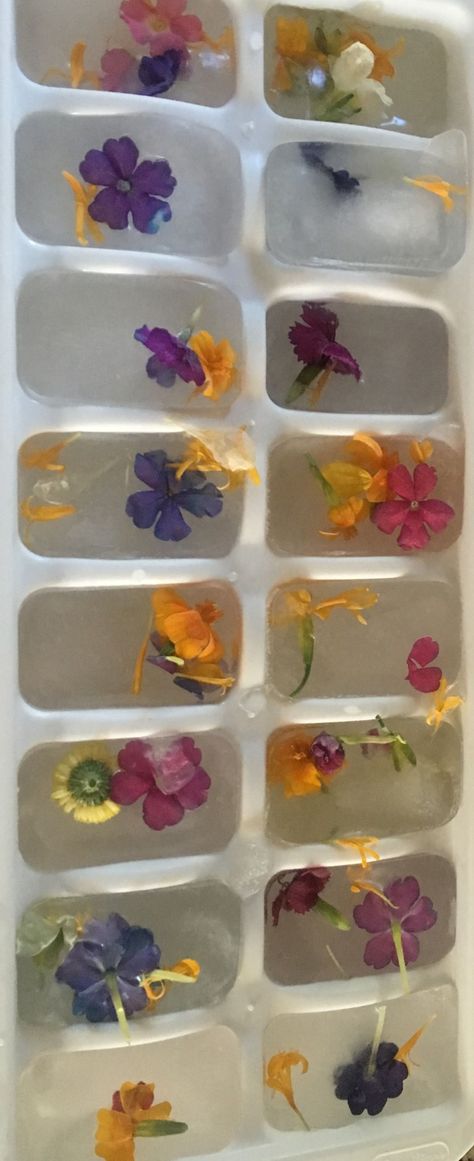 Bridal Shower Drinks, Flower Ice Cubes, Outdoor Bridal Showers, Garden Party Bridal Shower, Bridal Shower Inspo, Flower Ice, Garden Bridal Showers, Bridesmaid Luncheon, Bridal Shower Planning