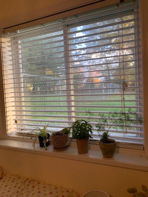 window decor ideas bedroom aesthetic Bedroom Window Ideas Aesthetic, Aesthetic Bedroom Pictures, Window Decor Ideas Bedroom, Window Ideas Aesthetic, Bedroom Windows Ideas, Plants In Window, Ideas Bedroom Aesthetic, Window Decor Ideas, Plants Window