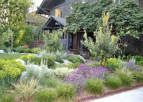 A frontyard is crafted to match a Greene & Greene Craftsman home in Pasadena - Los Angeles Times Craftsman Landscaping, Native Plant Gardening, Grasses Landscaping, Easy Landscaping, Low Maintenance Landscaping, Garden Shrubs, Front Yard Garden, Yard Design, Front Yard Landscaping Design