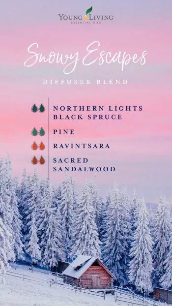 Northern Lights Black Spruce, Christmas Diffuser Blends, Cabin Door, Black Spruce, Calming Oils, Essential Oil Diffuser Blends Recipes, Young Living Essential Oils Recipes, Essential Oil Diffuser Recipes, Oil Diffuser Recipes