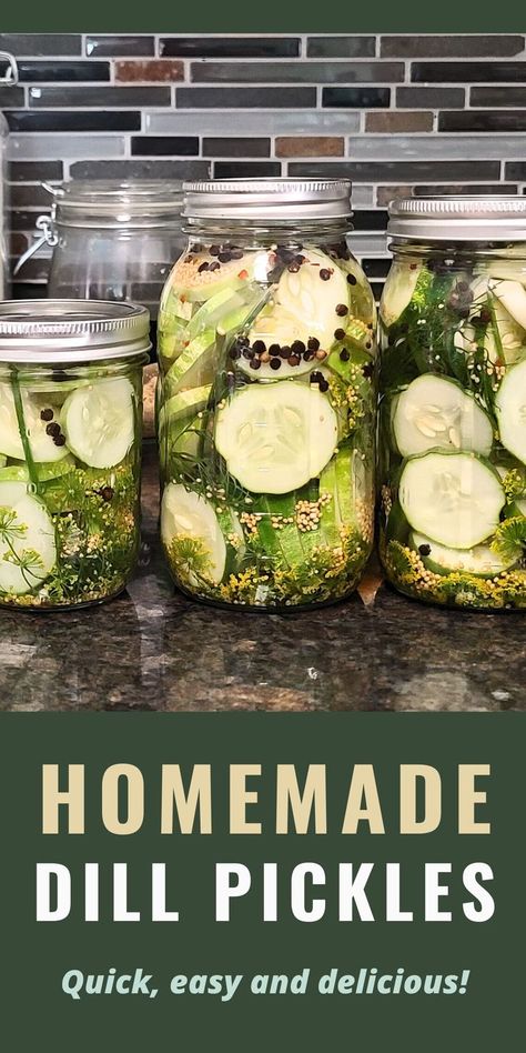 Homemade refrigerator dill pickle recipe that is quick and easy to make Quick Dill Pickles Recipe, Pickle Recipes Canning, Easy Pickle Recipes, Pickles Homemade, Homemade Dill Pickles, Refrigerator Dill Pickles, Refrigerator Pickles Dill, Easy Pickling Recipes, Easy Pickle