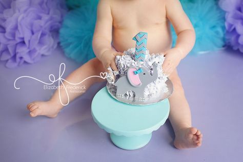 Elephant Smash Cake, 1st Birthday Elephant Theme, Smash Cake Photography, Baby Elephant Cake, Birthday Elephant, Cake Smash Theme, Baby Apple, Elephant Baby Shower Decorations, Elephant First Birthday