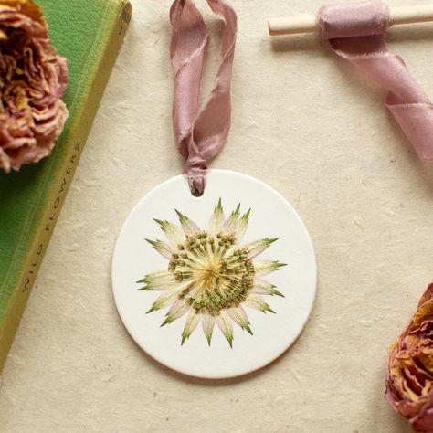 Pressed Flower Ornaments I’m delighted to let you know that my latest Collection is now live on my webshop. Beautiful homegrown and traditionally pressed flowers on handmade white clay discs, finished with stunning hand-dyed silk ribbon. There are two sizes to choose from (small: 5.5cm diameter, and large 7.5cm diameter). Perfect for festive decorations or for displaying all year round. Each one is completely unique and made with love. I hope you enjoy them. 🤍 #collectionlaunch #flowersar... Hand Dyed Silk Ribbon, Flower Ornaments, Hand Dyed Silk, White Clay, Silk Ribbon, Festival Decorations, Pressed Flowers, Product Launch, Flowers