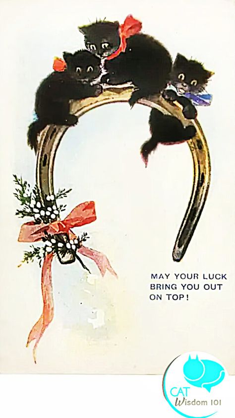 Friday 13th Luck With Black Cat Art | Cat Wisdom 101 Black Cat Good Luck, Lucky Black Cat, Black Cat Vintage, Black Cat Day, All Black Cat, Black Kittens, Black Cat Lover, Friday 13th, Lucky Symbols