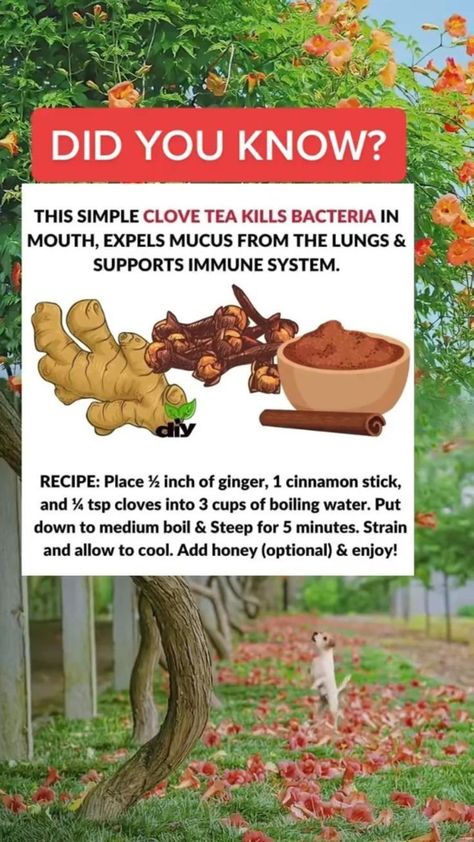 Clove Tea, Herbal Remedies Recipes, Sick Remedies, Natural Healing Remedies, Home Health Remedies, Herbal Healing, Herbs For Health, Natural Health Remedies, Health Drink