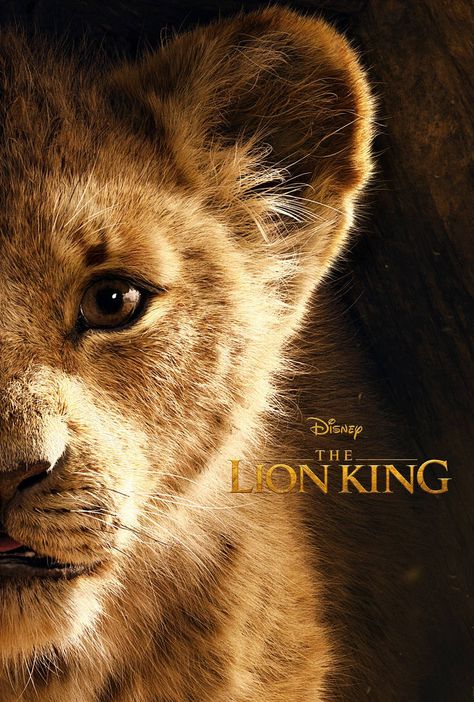 Lion King 2 Wallpaper, Lion King Live Action, Lion King 4, Lion Background, Lion King Movie Poster, Lion King Computer Wallpaper, Nala Lion King, Roi Lion Simba, Fire Lion