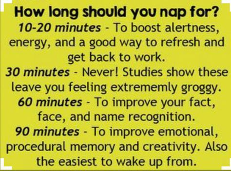 Doctor Explains 15 Things That Happen To Your Body When You Take A Nap Every Day Nap Benefits, Nap Times, Get Better Sleep, 1000 Life Hacks, Sleepy Time, Get Back To Work, Have A Good Night, Diy Recipes, Night Sleep