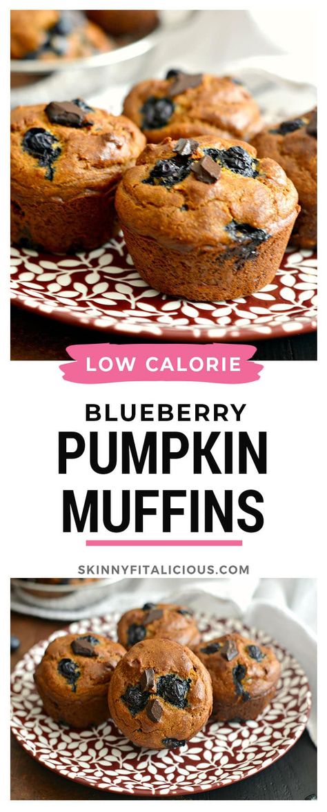 Healthy Pumpkin Blueberry Muffins are a low calorie treat! #healthy #pumpkin #blueberry #muffins #lowcalorie #low #calorie #glutenfree Pumpkin Blueberry Muffins Healthy, Blueberry Muffin Bread Recipe, Pumpkin Blueberry Muffins, Pumpkin Blueberry, Cashew Chocolate, Blueberry Pumpkin, Sugar Free Desserts Healthy, Spice Oatmeal, Low Calorie Pumpkin