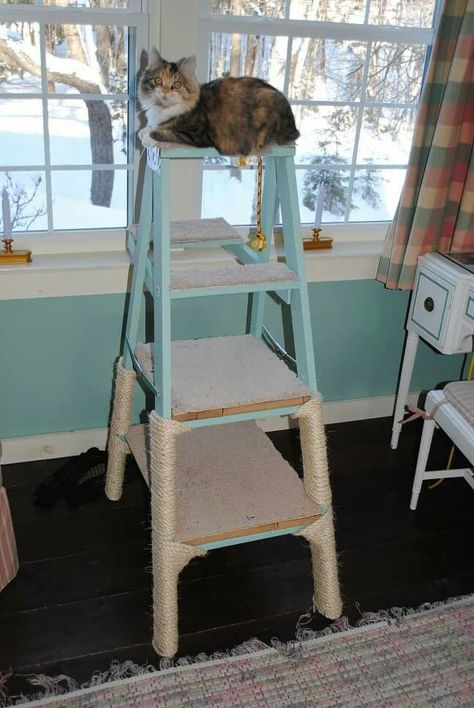 Building A Cat Tower, Tree Ladder Diy, Cat Trees Diy, Ladder Cat Tree, Old Ladder Decor, Cat Trees Diy Easy, Tree Ladder, Cat Trees Homemade, Ladder Diy