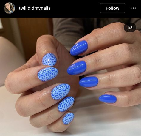 Blue And Blue Nails, Seasonal Nail Ideas, Blue Cheetah Nails, Cute Nails Blue, Fun Blue Nails, Spring Colors For Nails, Colors For Nails, Preppy Nails, Trendy Shades