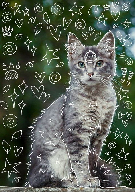 Cat Therian, White Tabby Cat, Grey Tabby, Fox Artwork, Cat Species, Cat Background, Warrior Cats Art, Forest Cat, Silly Cats Pictures