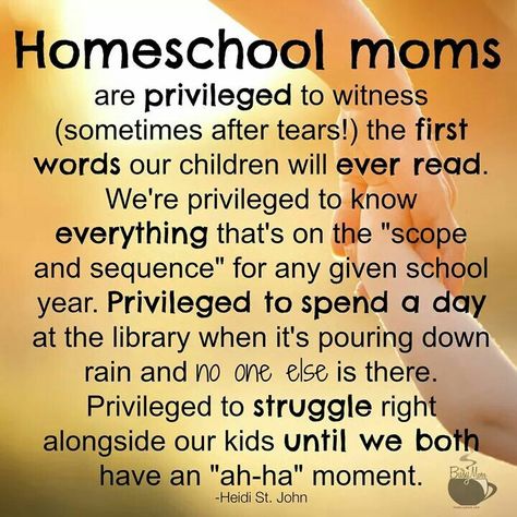 Inspirational Homeschooling Quote Homeschool Inspiration Quotes, Homeschool Humor, Homeschool Quotes, Homeschool Education, Homeschool Encouragement, Homeschool Inspiration, Homeschool Life, Unschooling, Homeschool Learning