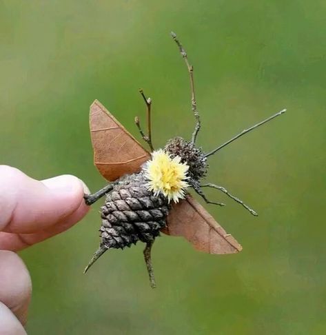 Pinecone Bee Craft, Easy Crafts For Pre K, Forest School Crafts, Landart Ideas, Forest School Ideas, Pinecone Art, Tre Kunst, Forest Crafts, Natural Crafts