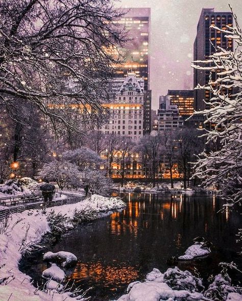 The Plaza Hotel on Instagram: "Let us light the way to New York's most elegant New Year's Eve soiree. Give 2023 a monumental welcome by attending our timeless celebration at The Palm Court. Preview the menu at our link in bio and reserve while tickets last. #LiveLikeThePlaza [📷: @_le_vent_dans_la_plaine]" New York Noel, Winter In New York, Lake George Village, City Christmas, Nyc Christmas, Central Park Nyc, New York Photos, Winter Scenery, The Plaza