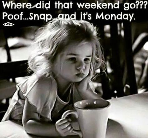 Monday Coffee Meme, Coffee Meme Funny, Self Esteem Kids, Monday Humor Quotes, Monday Images, Monday Morning Quotes, Monday Coffee, Morning Memes, Happy Weekend Quotes