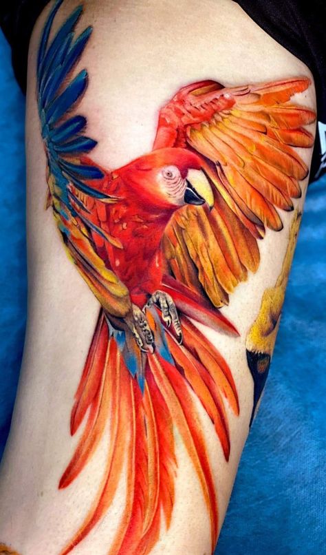 Scarlet Macaw Tattoo, 3 Bird Tattoo, Parrot Tattoo Design, Flower And Bird Tattoo, Macaw Tattoo, Tattoo On The Side, Tattoo Back Of Arm, Colorful Bird Tattoos, Taino Tattoos