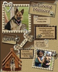 Dog Scrapbook Layouts, Pet Scrapbook Layouts, Scrapbook Page Ideas, Dog Scrapbook, Pet Scrapbook, Family Scrapbook, Album Scrapbook, Scrapbooking Album, Memory Scrapbook