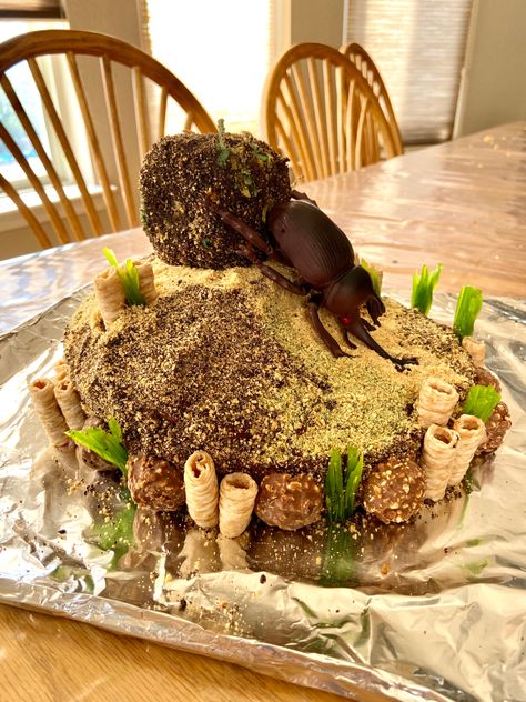 Beetle Cake, Dung Beetle, Celebration Party, Stuffed Mushrooms, Cake