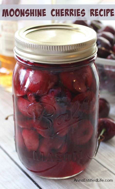 Moonshine Cherries Recipe Spiked Cherries, Moonshine Cherries, Cherry Moonshine, Home Distilling, Adult Snacks, Moonshine Recipes, Cherry Recipes, Taste Buds, Food For Thought