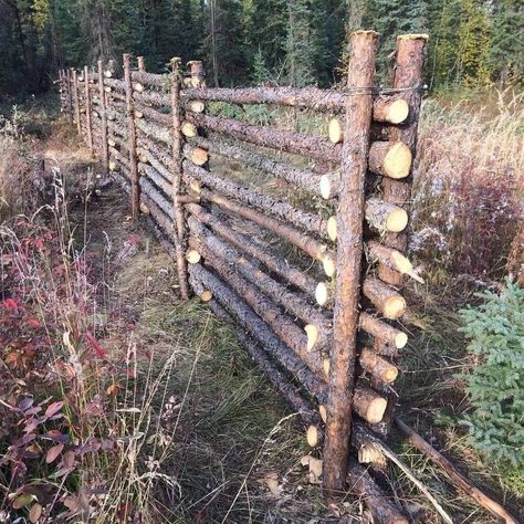 Branch Fence, Log Fence, Split Rail Fence, Country Fences, Privacy Fence Designs, Living Fence, Hunting Camp, Building A Fence, Rail Fence