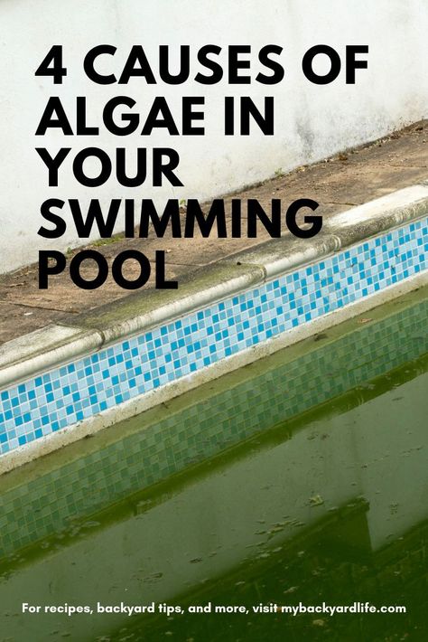 Algae In Pool How To Get Rid Of, Green Pool Water, Pool Algae, Pool Cleaning Tips, Underground Pool, Solar Pool Cover, Salt Pool, Swimming Pool Filters, Swimming Pool Cleaning