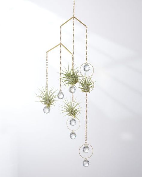 Hanging Plant Display, Plant Gift Ideas, Air Garden, Air Plant Hanger, Air Plant Display, Wire Diy, Plant Display, Iridescent Crystal, Air Plant Holder