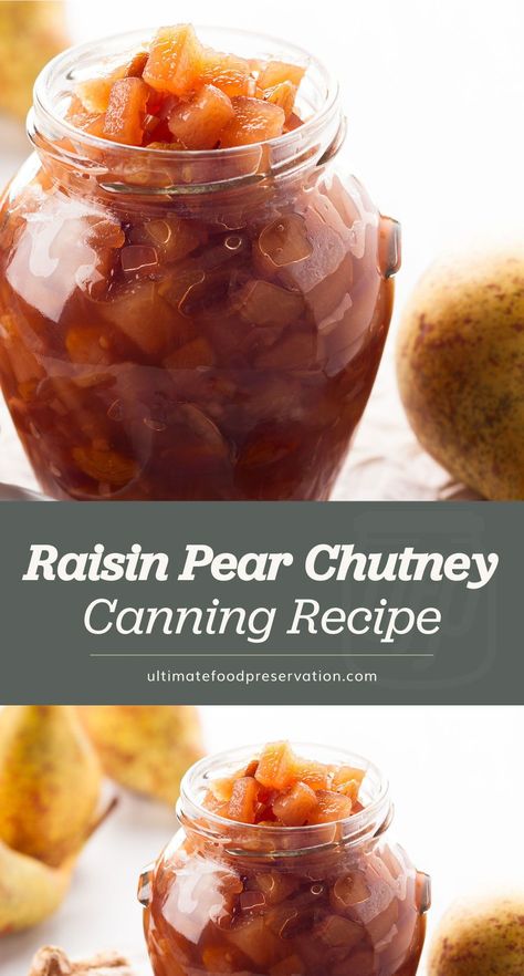 Canning Chutney Recipes, Pear Relish Recipe, Pear Relish Canning, Apple Raisin Chutney Recipe, Apple Pear Chutney Recipe, Pear Chutney Canning, Pear Chutney Recipe, Pear Relish, Water Bath Canning Recipes