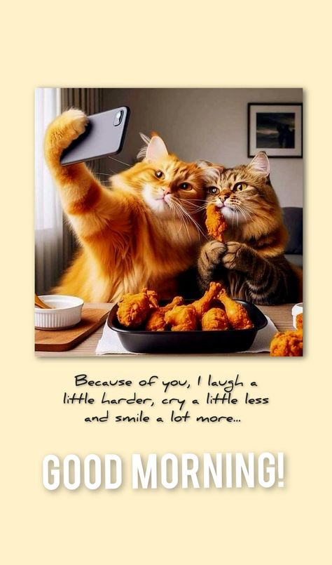 Cat Good Morning, Morning Jokes, Cute Good Morning Gif, Good Morning Cat, Good Morning Cartoon, Good Morning Motivation, Quiet Morning, Morning Cat, Good Morning Funny Pictures