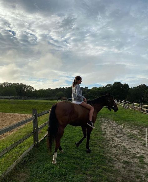 Horseback Riding Aesthetic, Horse Girl Aesthetic, Grace Burns, Riding Aesthetic, Europe Country, Horsey Life, Horse Riding Aesthetic, Equestrian Aesthetic, Rasy Koni